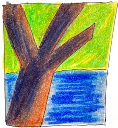 kleurrijk bos studie kunst crealisme schets tekening