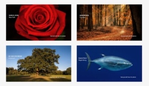 We zien vier natuurfoto's van een roos, een boom, een vis en een bos. Het zijn realistische foto's. In de foto's zien we de namen staan van mensen, bijvoorbeeld Daniel Fisch bij de vis of Ad van den Boom bij de boom. In de foto staat verder de tekst red jezelf, red de wereld.